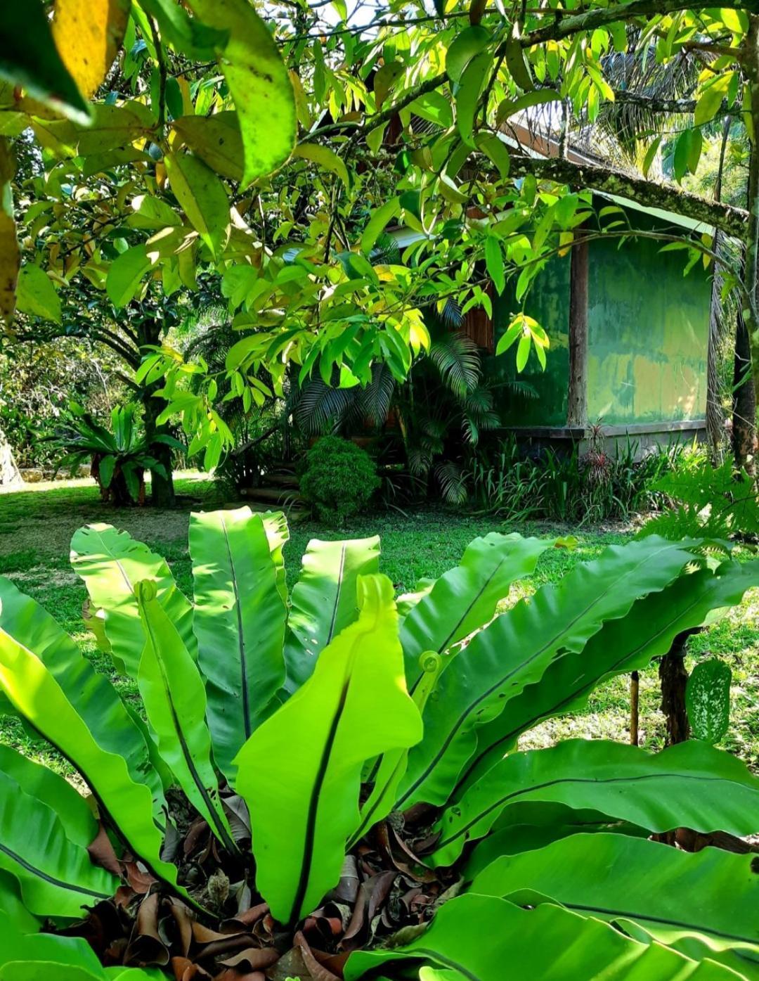Tuaprodhome Khao Lak Zimmer foto